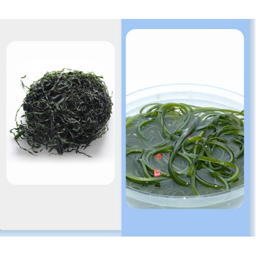 Belleza de alimentos de algas para adelgazar rodajas de algas al horno